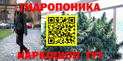 гашик Будённовск