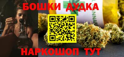 гашик Будённовск