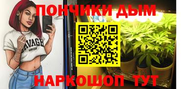 гашик Будённовск