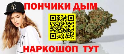 гашик Будённовск