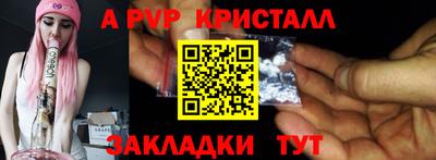 гашик Будённовск