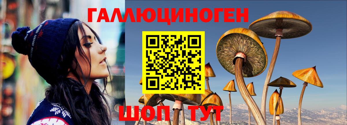 Псилоцибиновые грибы MAGIC MUSHROOMS  Вход с VPN  Галлюциногенные грибы Psilocybe  Лабинск 